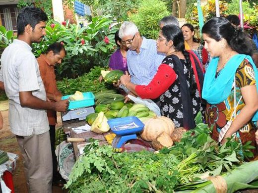 Buy produce and learn ways to use it
